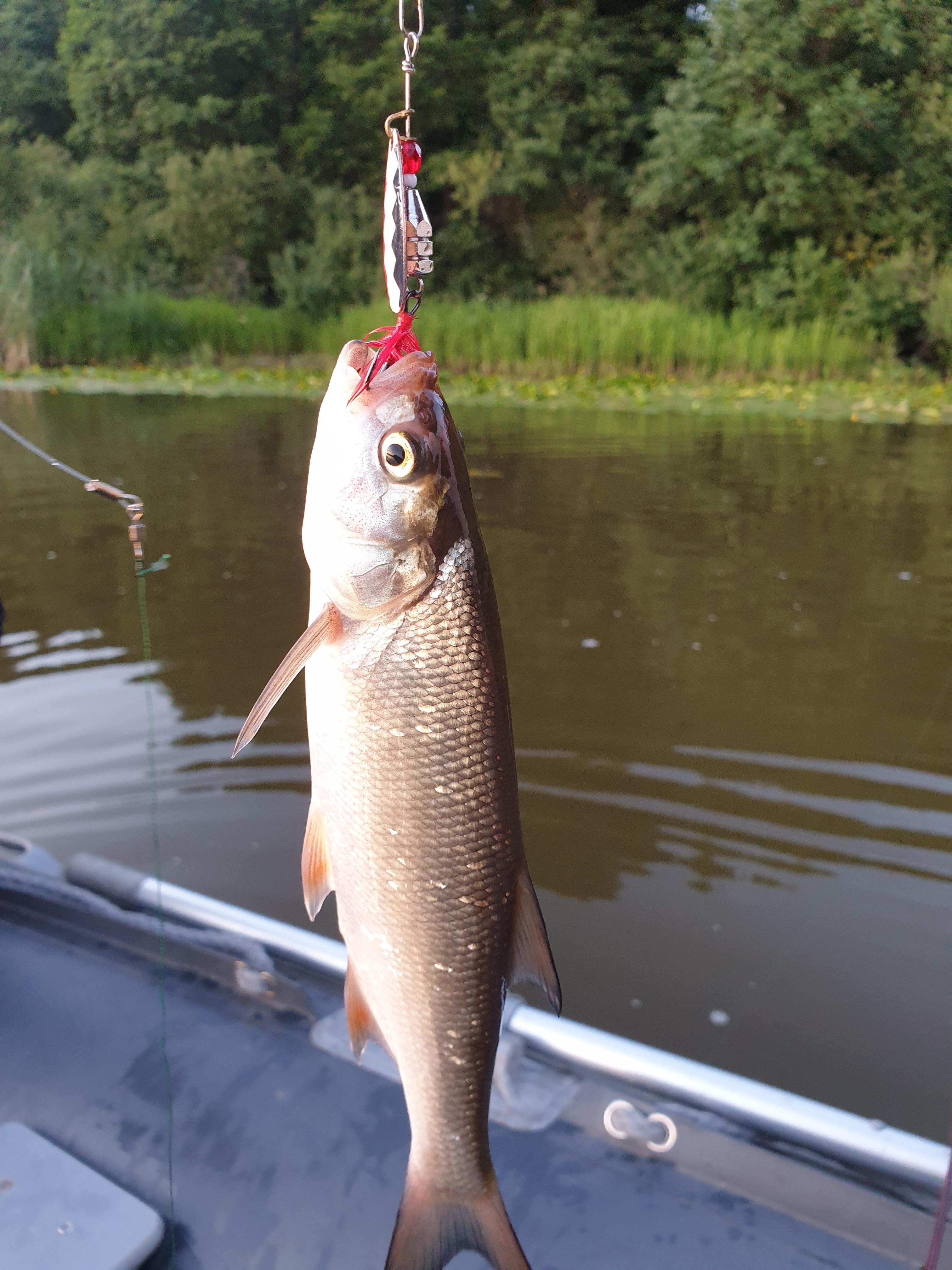 13.07.2019 Emajõgi